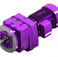 DSZRF77齒輪減速機(jī)型號大全